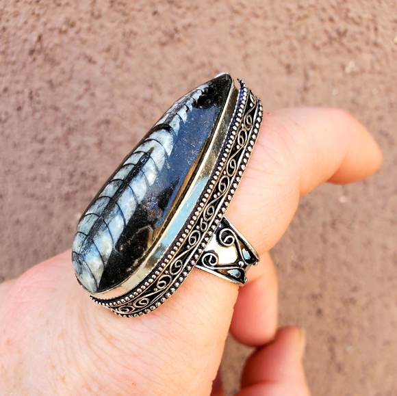 New Huge Orthoceras Fossil 925 Silver Ring. - Picture 14 of 16